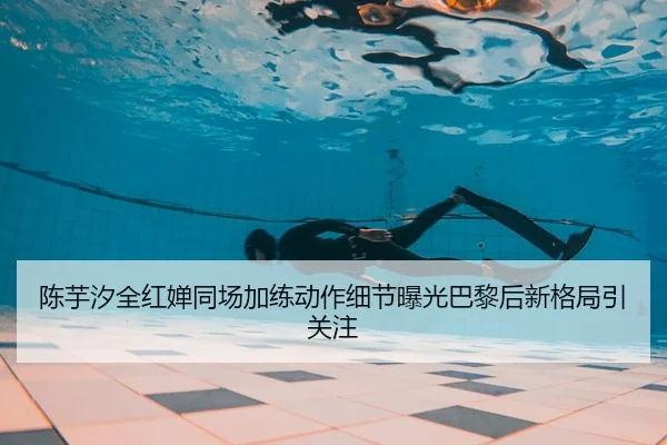 陈芋汐全红婵同场加练动作细节曝光巴黎后新格局引关注