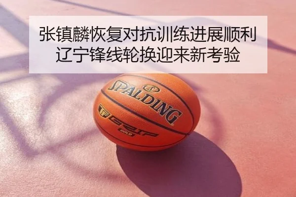 张镇麟恢复对抗训练进展顺利 辽宁锋线轮换迎来新考验